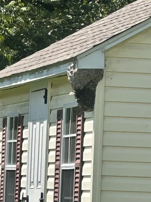 American Pest Solutions Picture 2