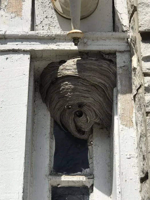 Lee Termite Pest Control Services Chicopee, MA Picture 3