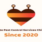 Lee Termite Pest Control Services Chicopee, MA