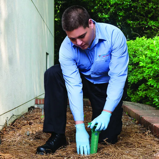 Waltham Pest Services Picture 10