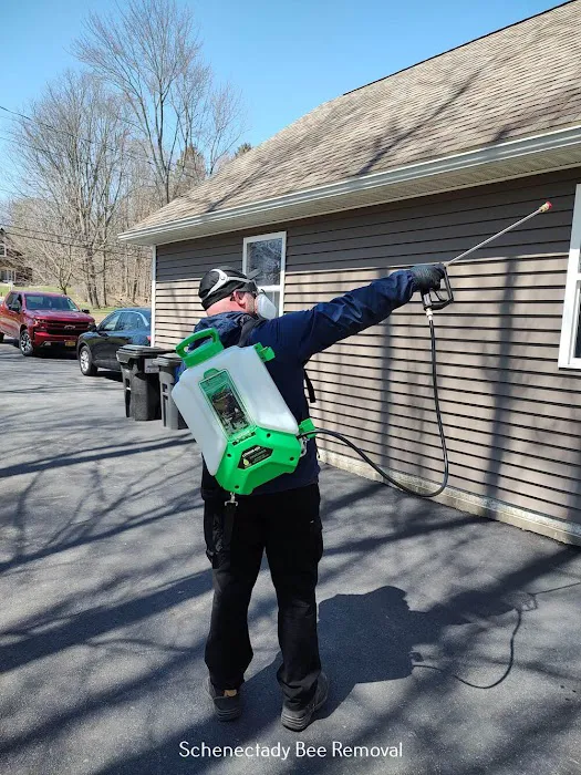 All-Pro Pest Solutions LLC Picture 4