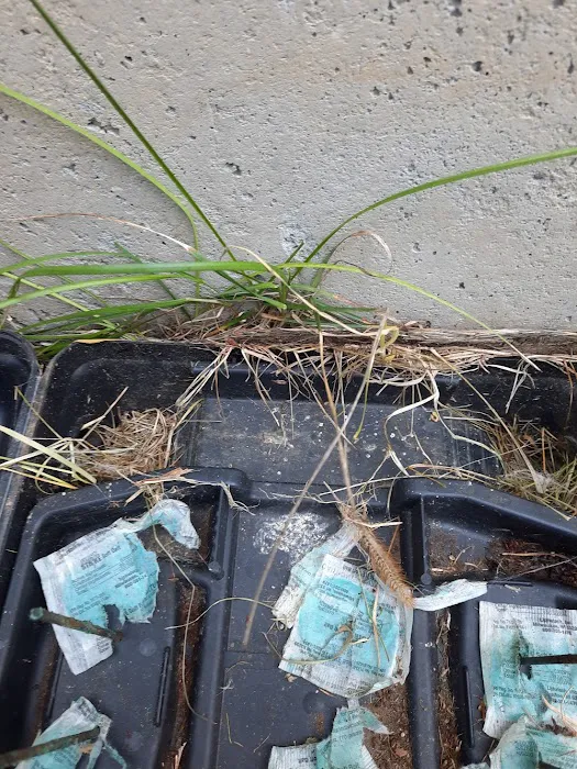 All-Pro Pest Solutions LLC Picture 10