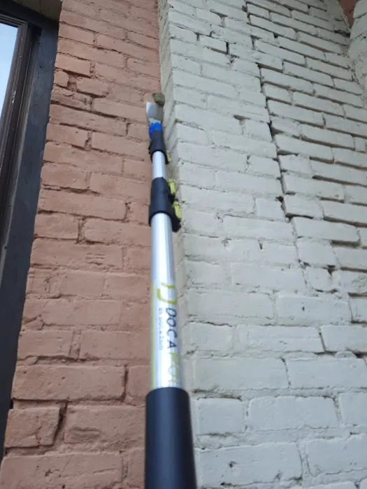 All-Pro Pest Solutions LLC Picture 6