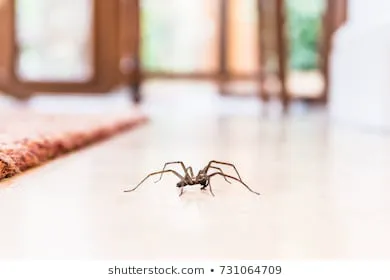 Simply Trust Pest Solutions LLC Picture 3