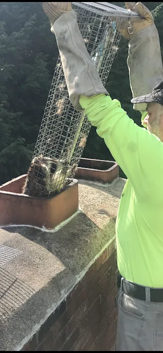 Nukingstreet Pest & Wildlife Control LLC Picture 2