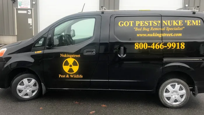 Nukingstreet Pest & Wildlife Control LLC Picture 1