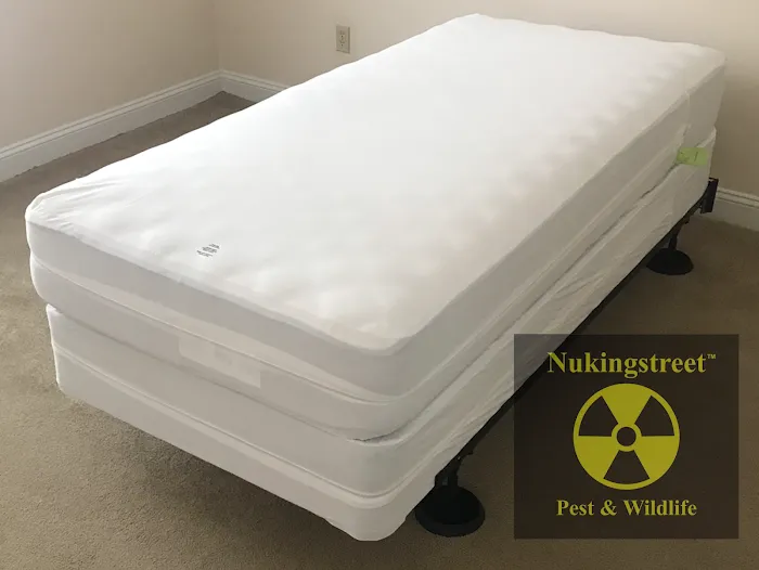 Nukingstreet Pest & Wildlife Control LLC Picture 6