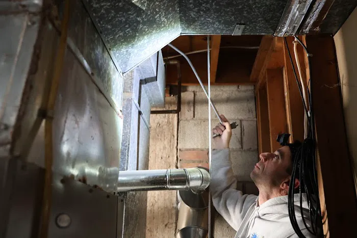 Anthony Muro Pest Management Services Picture 1