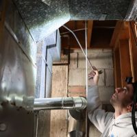 Anthony Muro Pest Management Services ico