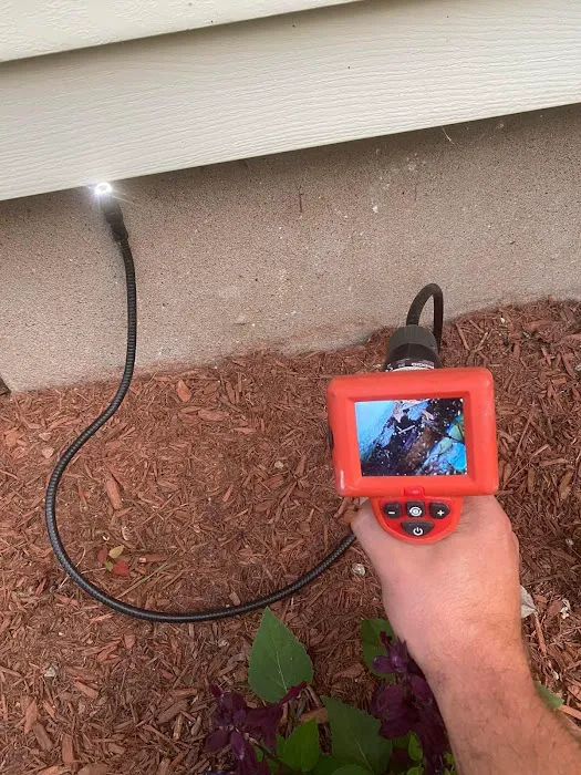 Protex Pest Control Picture 7