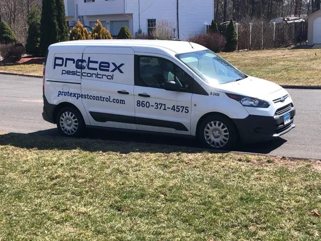 Protex Pest Control Picture 2