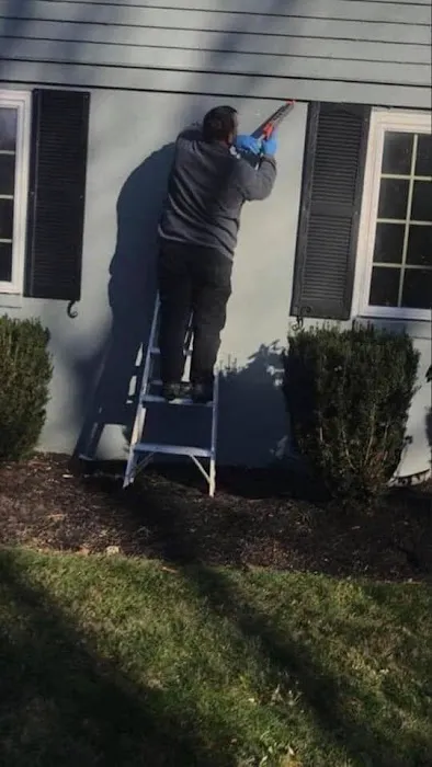 Protex Pest Control Picture 1
