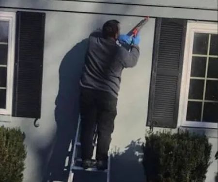 Protex Pest Control
