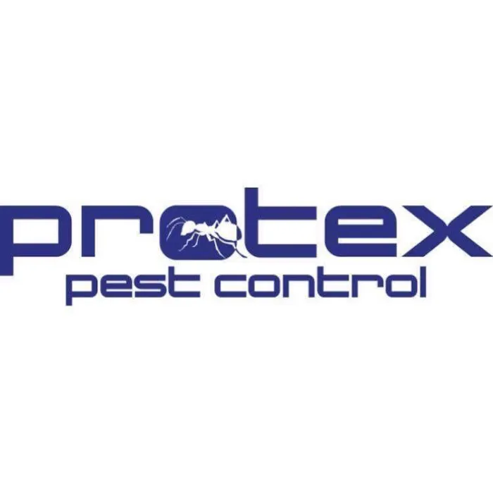 Protex Pest Control Picture 8
