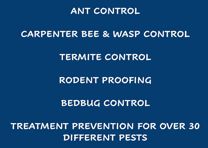 Protex Pest Control Picture 4
