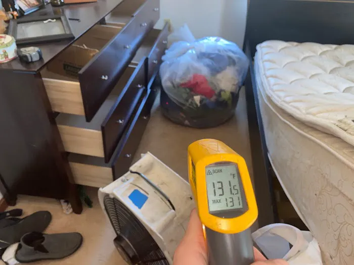 Bed Bug Busters By Ellington Management LLC Picture 4