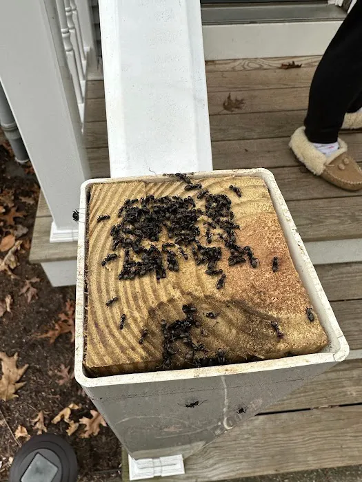 Ellington Family Pest & Termite Elimination Picture 1