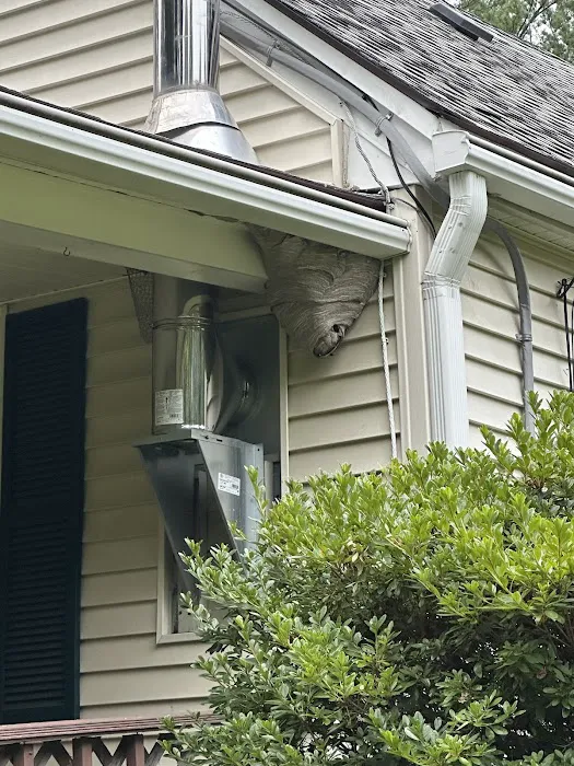 Ellington Family Pest & Termite Elimination Picture 9
