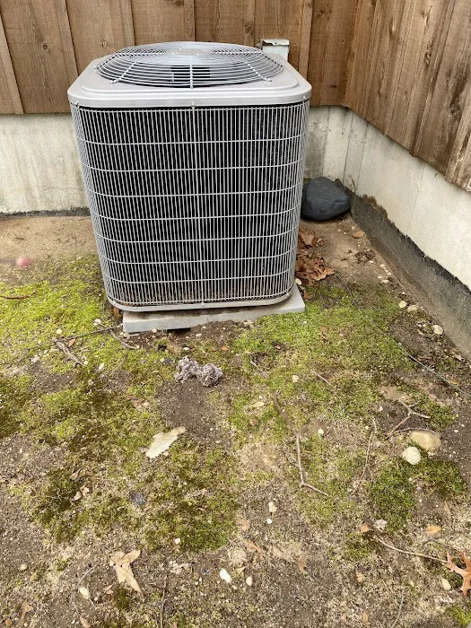 Twin Forks Pest Control Picture 4