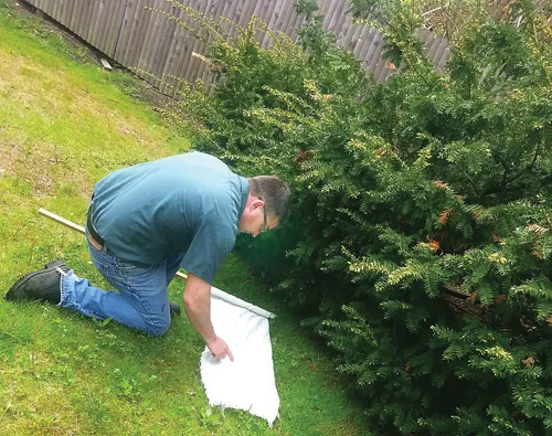 East End Tick Control Picture 6