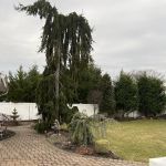 Alternative Earthcare Tick and Mosquito Spraying and Control Service
