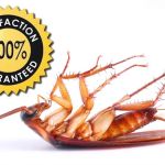 Nardy Pest Control