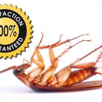 Nardy Pest Control ico