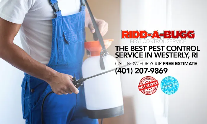 Ridda-Bug Pest Control Picture 1