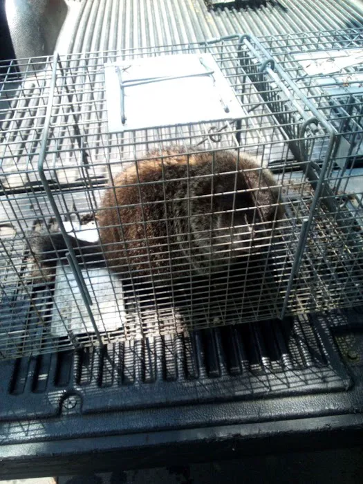 Little River Wildlife Control Services Picture 2