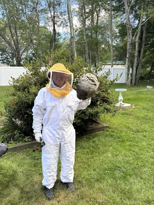 Interstate Pest Control Picture 3