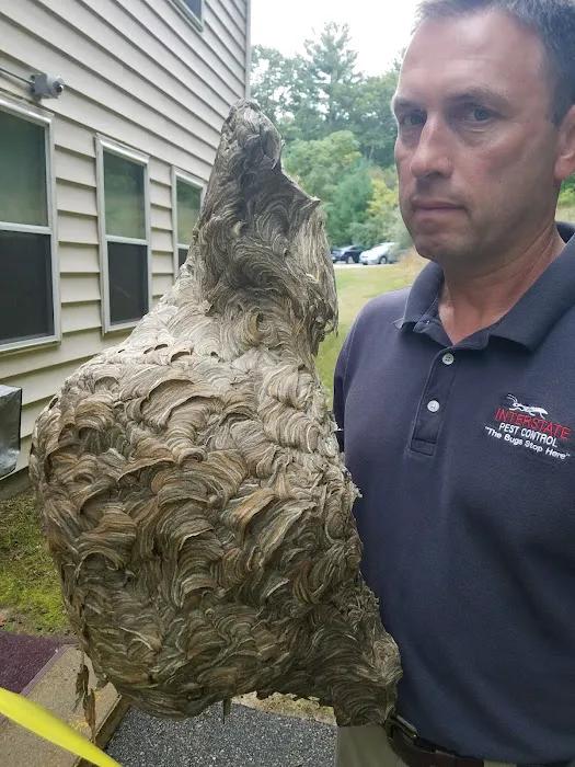 Interstate Pest Control Picture 9