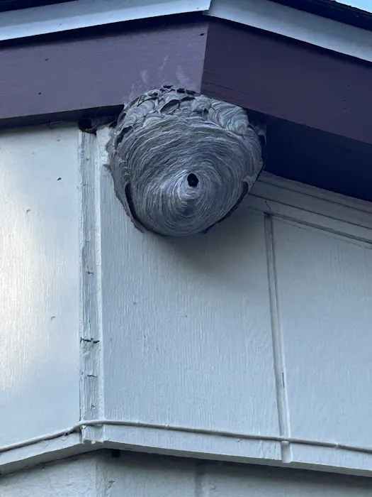 Interstate Pest Control Picture 5