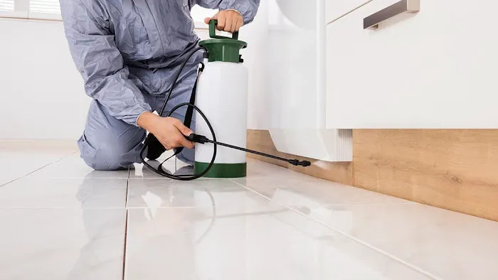 Willington Termite & Pest Control Picture 1