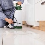 Willington Termite & Pest Control