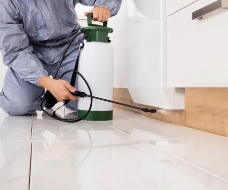 Willington Termite & Pest Control