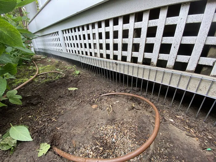 Christian's Wildlife Control Picture 3