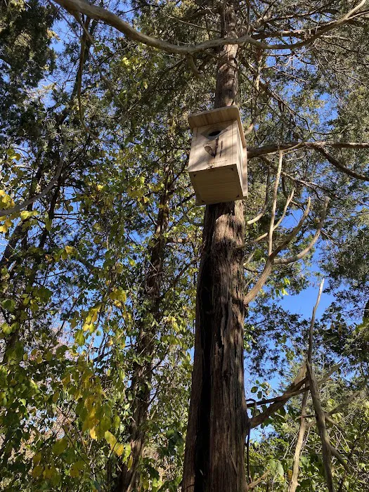 Christian's Wildlife Control Picture 4
