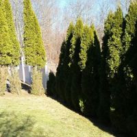 American Deer Proofing ico
