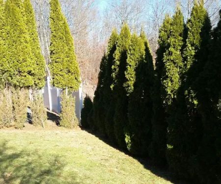 American Deer Proofing