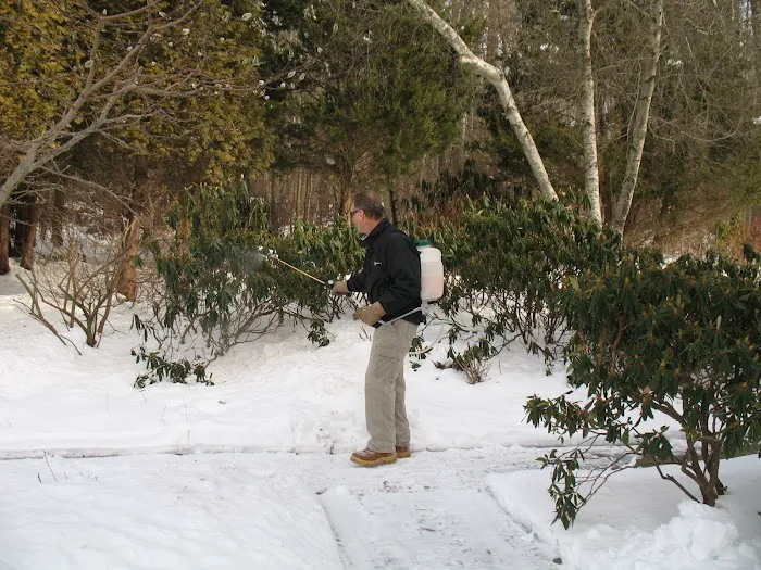 American Deer Proofing Picture 4