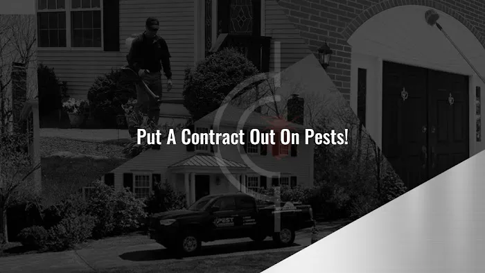 Pest Assassins Picture 4