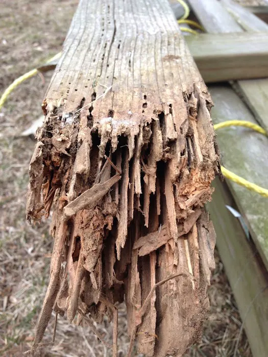 Cobra Pest Control Picture 2