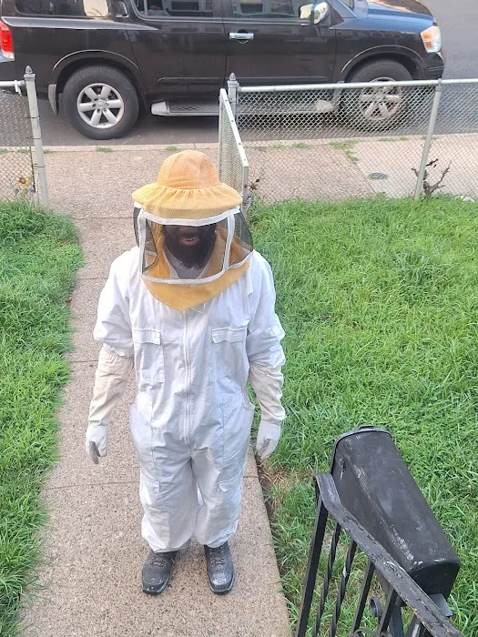 Greenix Pest Control Picture 3