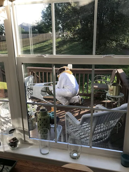 Greenix Pest Control Picture 8