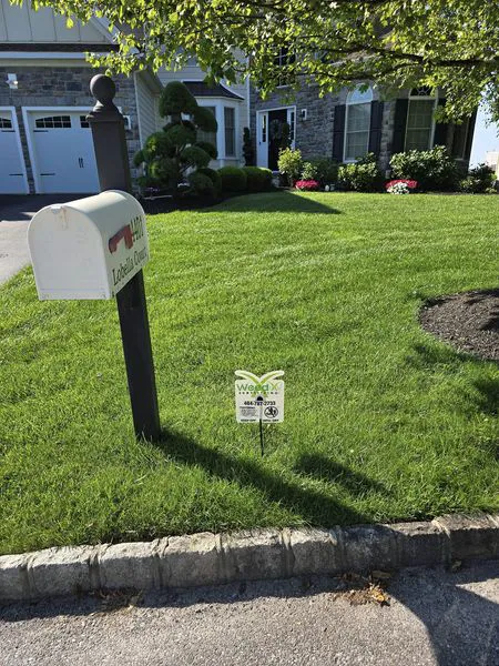 WeedX Fertilizing Picture 9