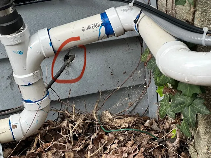 Rehoboth Pest Control LLC Picture 6
