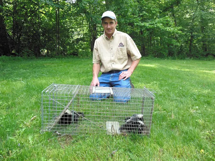 Countryside Pest Control Picture 7