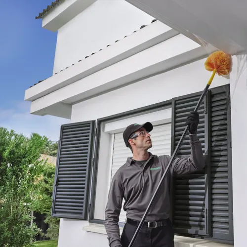 Terminix Commercial Picture 6