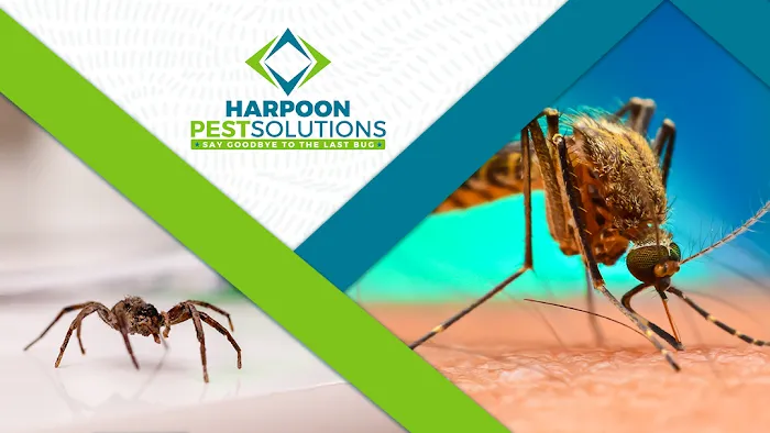 Harpoon Pest Solutions Picture 2
