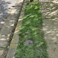 Weed Man ico